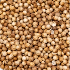 coriander seeds 1kg - 5kg